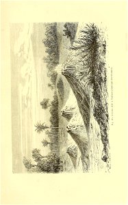 n532_w1150