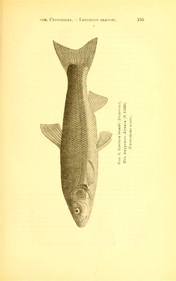 n180_w1150