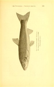 n180_w1150