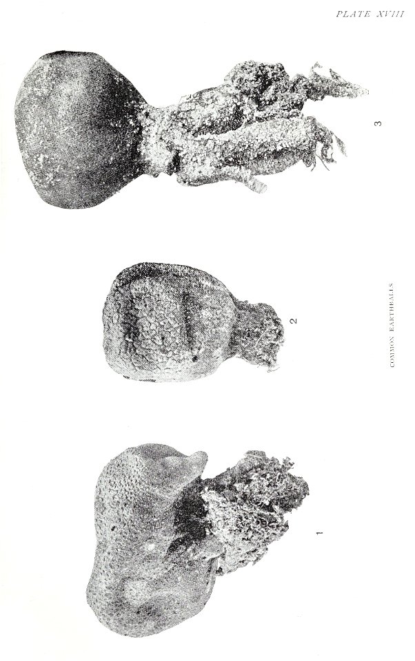 n110_w1150