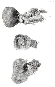 n110_w1150