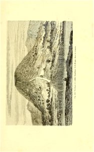 n516_w1150