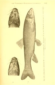 n324_w1150