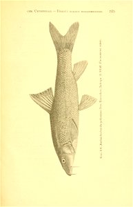 n250_w1150