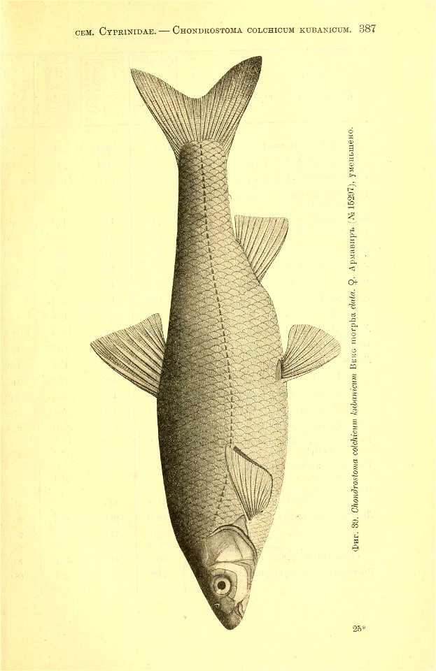n62_w1150
