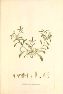 n46_w1150