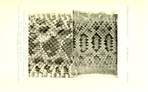 n378_w1150