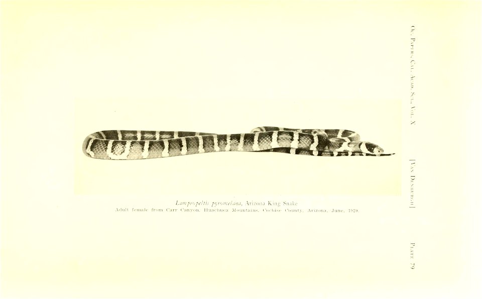 n178_w1150