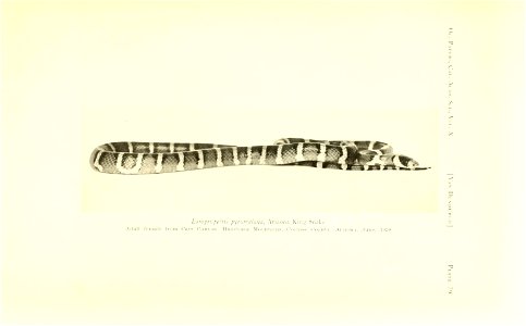 n178_w1150