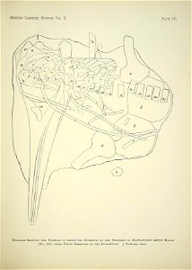 n176_w1150