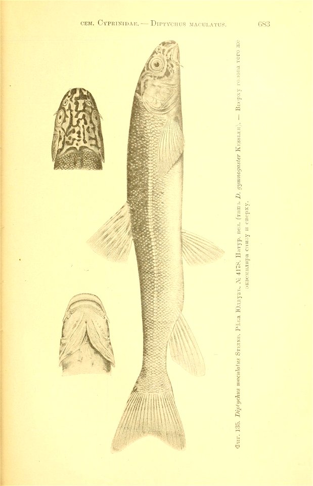 n358_w1150