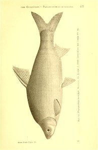 n92_w1150
