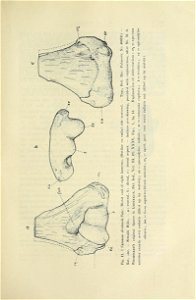 n422_w1150