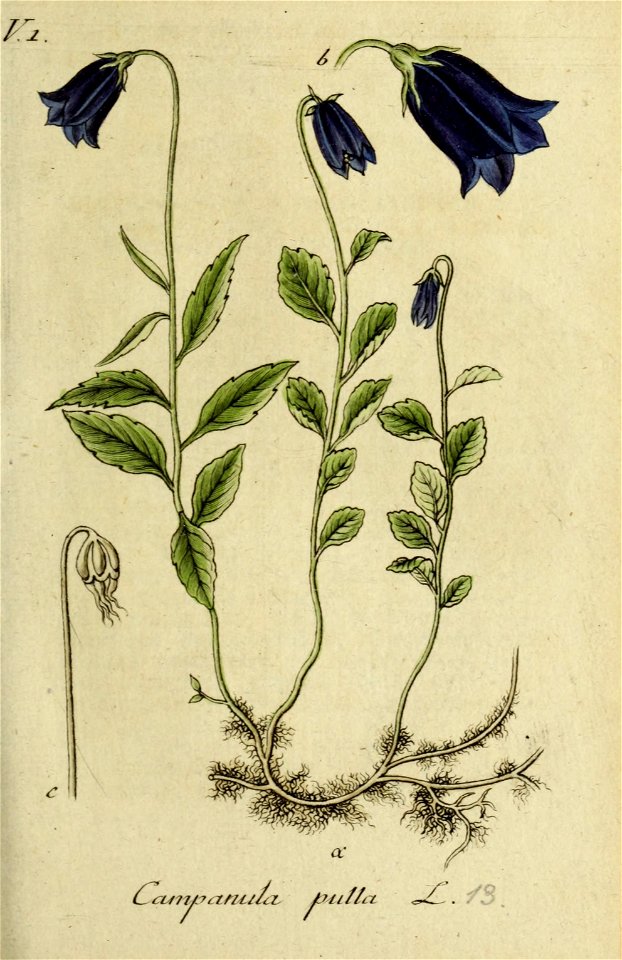 n58_w1150