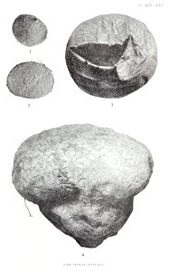 n122_w1150