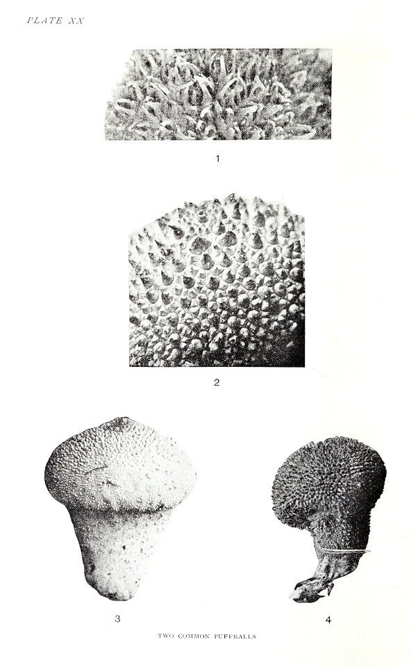 n119_w1150