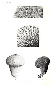 n119_w1150