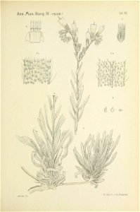 n658_w1150