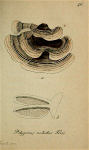 n204_w1150