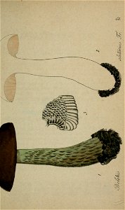 n508_w1150