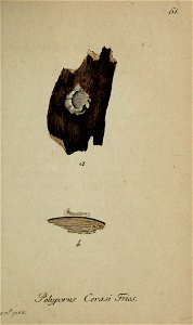 n256_w1150