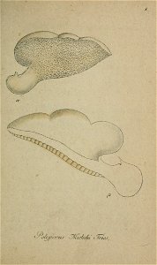 n16_w1150