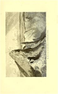 n512_w1150