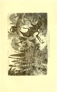 n208_w1150