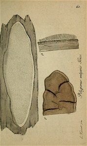 n252_w1150