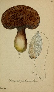 n68_w1150