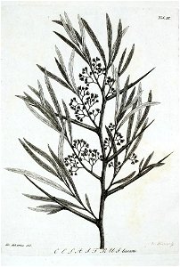 n510_w1150