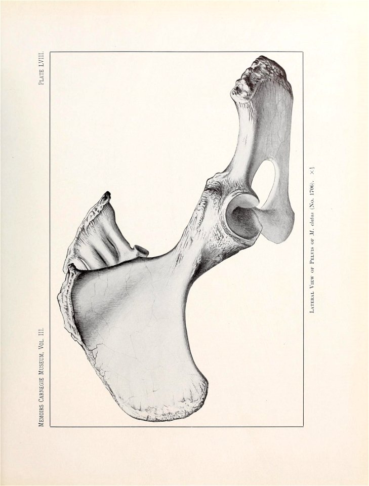 n552_w1150