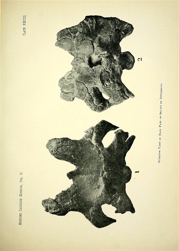 n368_w1150