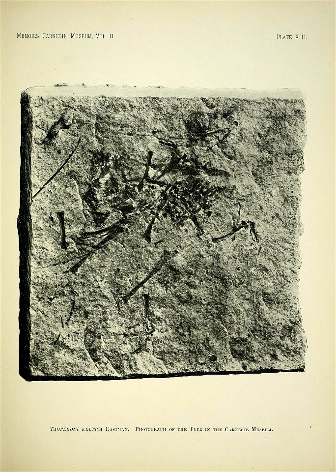 n196_w1150