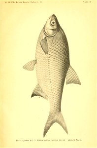n382_w1150