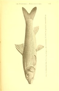 n308_w1150
