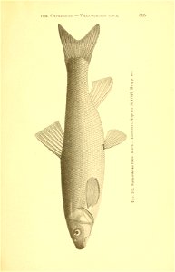n230_w1150