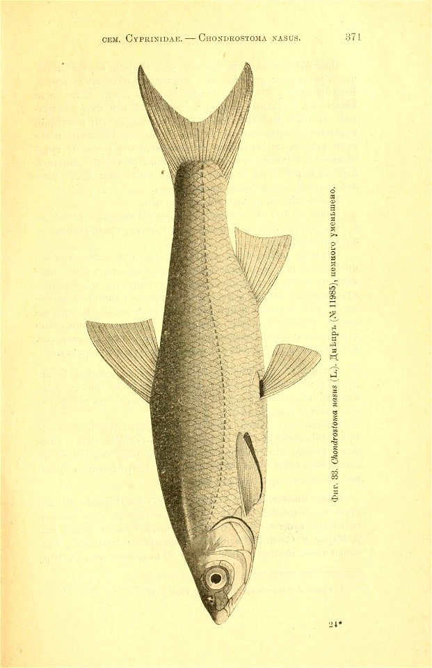 n46_w1150