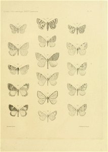 n132_w1150