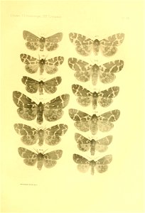n152_w1150