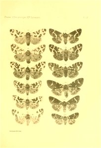 n148_w1150