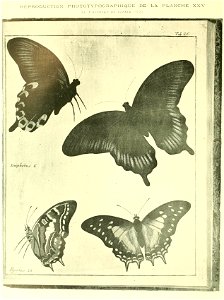 n15_w1150
