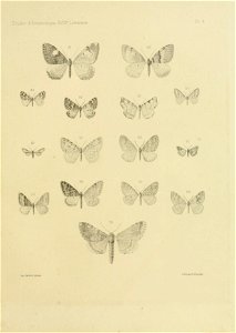 n128_w1150