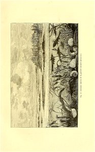 n114_w1150