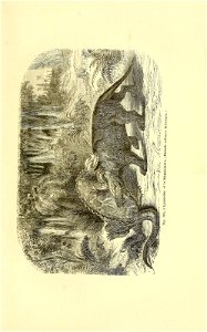 n256_w1150