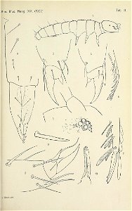 n204_w1150