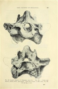 n468_w1150