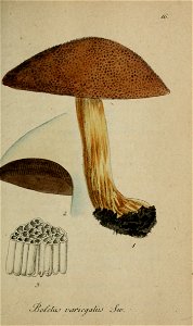 n404_w1150