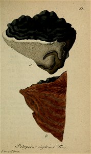 n216_w1150
