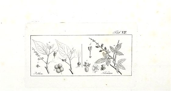 n572_w1150
